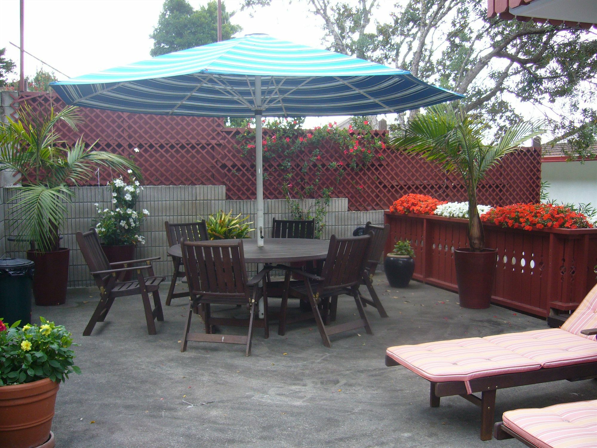 Swiss Chalet Lodge Motel Paihia Exterior foto