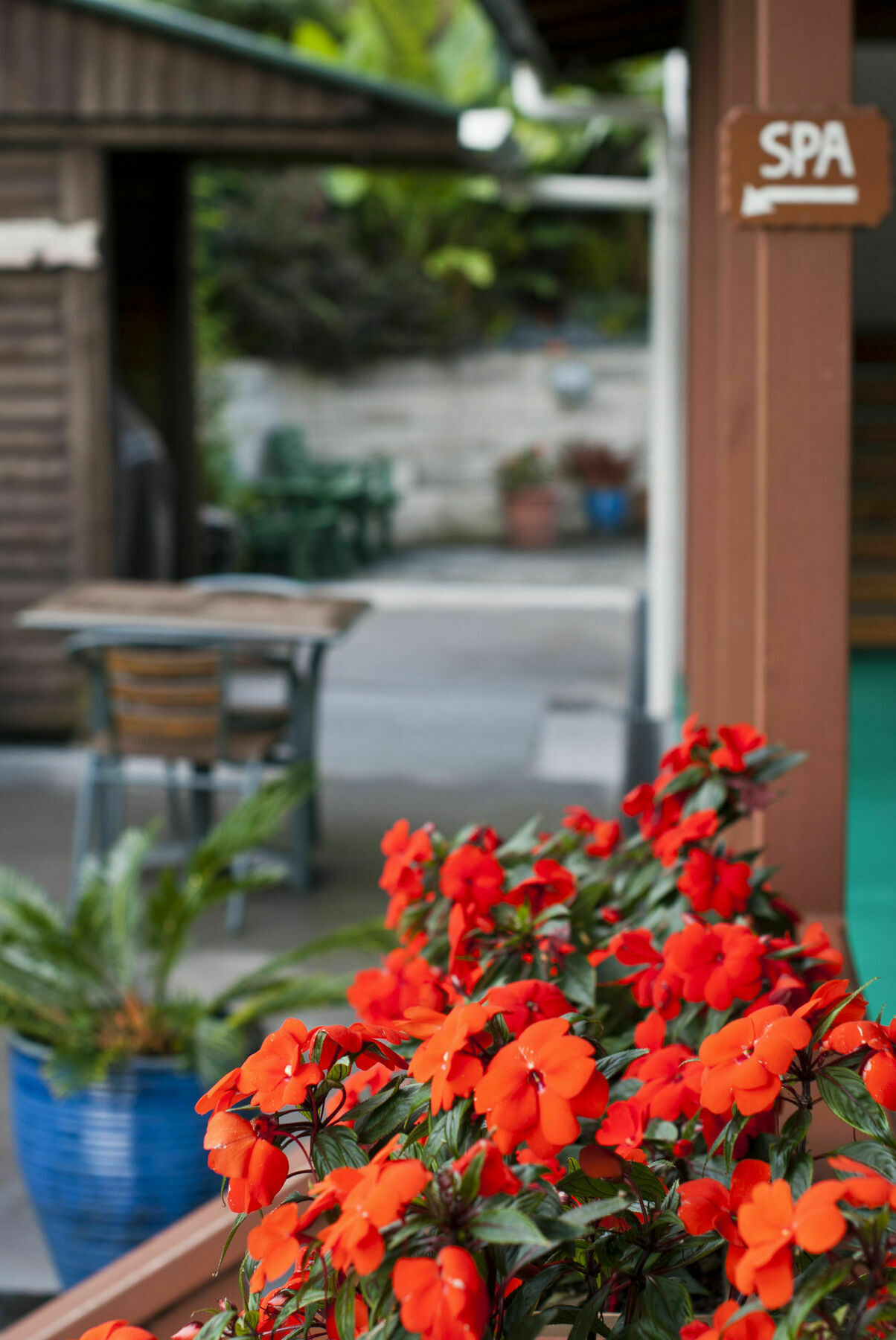 Swiss Chalet Lodge Motel Paihia Exterior foto