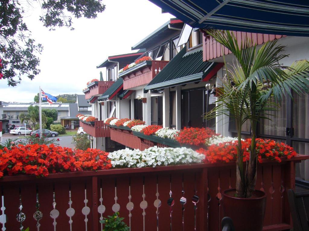 Swiss Chalet Lodge Motel Paihia Cameră foto